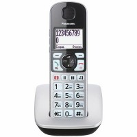 Panasonic KX-TGE510RUS