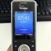 Yealink W60P