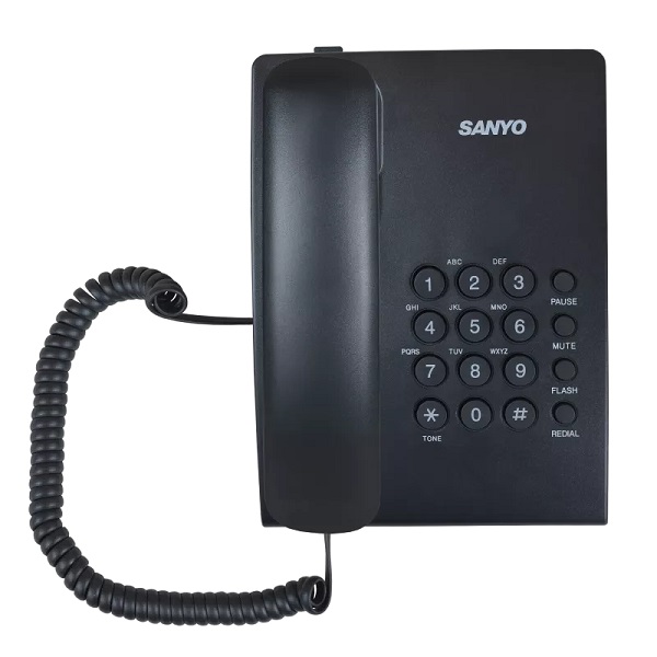 Sanyo RA-S204B